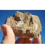COFFINITE URANIUM ROCK  12.6 OZ weight;  35,600. CPM   $28.00 plus $12.8... - $28.00