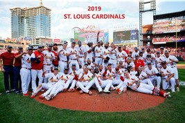 2019 ST. LOUIS CARDINALS 8X10 TEAM PHOTO BASEBALL PICTURE MLB - $4.94