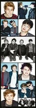 5 Seconds Of Summer ~ 21x62 Photo Montage Door Poster - $9.18