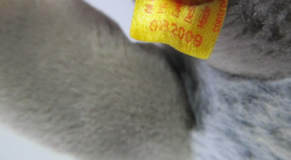 Item image 10