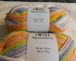 Big Twist Living Fun Brights lot of 2 Dye Lot 191975 - $9.99