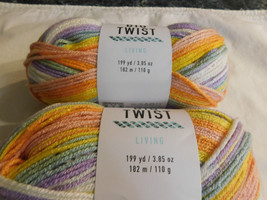 Big Twist Living Fun Brights lot of 2 Dye Lot 191975 - £7.90 GBP