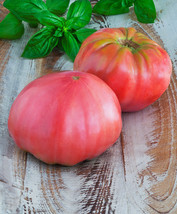 30 Seeds Brandywine Pink Tomato Heirloom Large Slicing Potato Leaved - £1.40 GBP