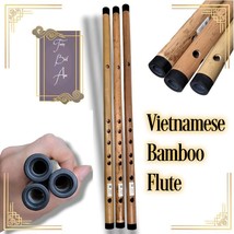 Vietnamese Bamboo Flute. Shatterproof Cover. Made From The Best Artisan ... - €30,38 EUR