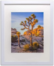 A Plus White Wooded Matted w/ Glass 20x24 Picture Frame 2&quot; Mat, 16x20 Op... - $49.49