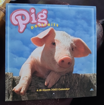 2002 16 Month Calendar Pig Portraits Babies Spotted Garden Farm Animals ... - $12.99