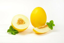 10 Mango Melon Heirloom NON-GMO Cucumis melo var. Chito seeds - £5.40 GBP