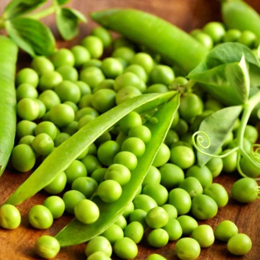 Thomas Laxton Peas High Yielding Tender Sweet Fresh Or Frozen Fresh Gard... - $11.20