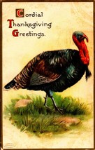 Embossed POSTCARD-CORDIAL Thanksgiving GREETINGS-LARGE Tom Turkey BKC2 - £2.56 GBP