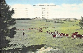 CATTLE ROUND-UP IN MONTANA 1958 POSTCARD - $4.64