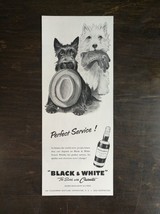 Vintage 1955 Black &amp; White Scotch Whisky Scottie &amp; Westie Original Ad 823 - £5.51 GBP