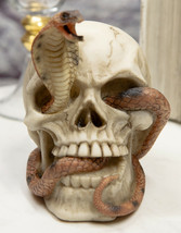 Ebros Cranium Skeleton Cobra Snake Habitat Skull Statue Figurine 4.25&quot;H - £12.82 GBP