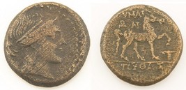 300-200 BC Greek AE20 Coin VF Aeolis Amazon Kyme Cyme horse Sear#4192 L&amp;K#396 - £124.62 GBP