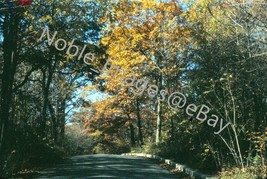 1961 View From Car Autumn Road Scene Fall Leaves Chicago Ektachrome 35mm Slide - £2.78 GBP