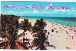 Florida Postcard Miami Beach Palms Sunbathing Ocean - £2.32 GBP