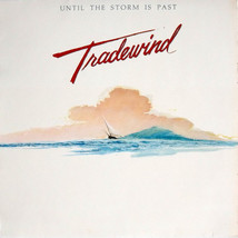 Until The Storm Is Past [Vinyl] - $84.99