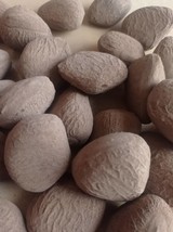 Keluwek Kluwak Kluwek Kepayang Pangium Edule Black Nut, 80 Gram - $15.83