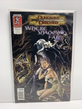 Dungeons and Dragons: Where Shadows Fall #1 - 2003 Kenzer and Company Comics - £11.55 GBP