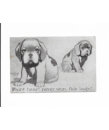 Vintage Postcard c1910 Puppy Posted - £3.02 GBP