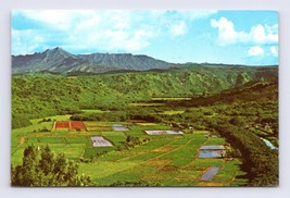 Hanalei Valley Birds Eye Viewe Kauai Hawaii HI Chrome Postcard M7 - £2.37 GBP