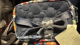 Walt Disney World Character Pattern Cross Body Fanny Pack Purse NEW image 2