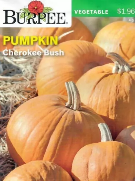 Pumpkin Cherokee Bush Vegetable Seeds Non-Gmo - Burpee 11/24 Fresh Garden - £5.89 GBP