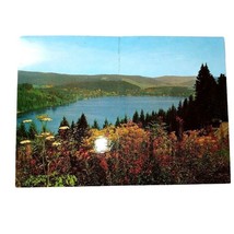 View of Titisee in the Upper Black Forest Germany Photo Postcard Color V... - £3.14 GBP