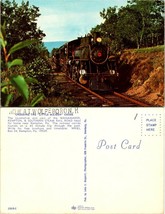Train Railroad Wanamaker, Kempton &amp; Southern Steam Little Maiden Creek Postcard - £7.37 GBP