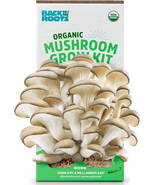 Back to the Roots Organic Oyster Mushroom Grow Kit, Harvest Gourmet Mush... - $29.91