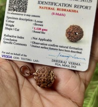 Lab Certified Pure Copper + 8 Mukhi RUDRAKSHA Rudraksh 8 Face Pendant, O... - $24.39