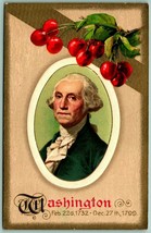 George Washington Cherry Branches Border Embossed Winsch Back DB Postcar... - £7.80 GBP