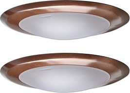 Dimmable Led Flush Mount Ceiling Light Fixture Modern Bronze Lamp Plasti... - £27.91 GBP