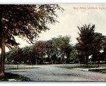 West Street View Litchfield Connecticut CT UNP  DB Postcard G17 - $4.90