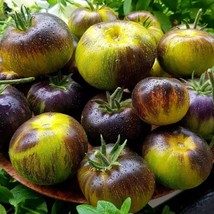 Rare Tomato 3242 AL Seeds - Albo Green Variety, Pack of 5, Organic Heirloom Seed - £5.61 GBP