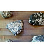 Acorn Barnacle rocks new england coast paperweight ocean beach decor - €24,89 EUR