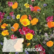 FREE SHIPPING Premium Oregon mix flower seed - Beautiful ! USA! Annual/P... - £9.24 GBP