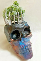 Handcrafted Cement Skull Sculpture/Planter by Bren Indoors or Outside Garden Art - £35.16 GBP