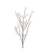 Birch Twig Branch (Set of 6) - 588783 - $1,054.67 MXN