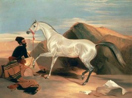 High Quality Handpainted Oil Painting Art man with white horse in desert Arab - £56.92 GBP