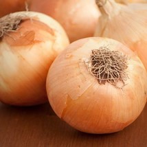 500 Yellow Sweet Spanish Onion Seeds  From US  - $8.35