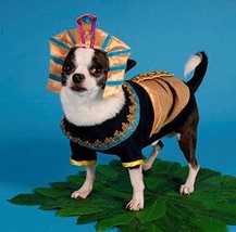 Puppe Love King MUTT Dog Costumes King TUT Egyptian Royalty Pharaoh Dogs Hallowe - £41.02 GBP