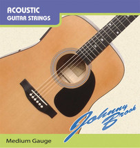 Acoustic Guitar Steel Strings Medium Gauge - $12.99