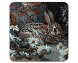 2 PCS Animal Rabbit Coasters - $14.90