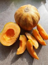 Melon Zatta from Italy - Brutto ma Buono - 5+ Seeds - Cm 025 - £1.59 GBP