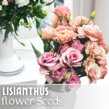 Lisianthus Seeds - 100 Seeds  Non Gmo Heirloom (Serenity Medley) - £11.14 GBP