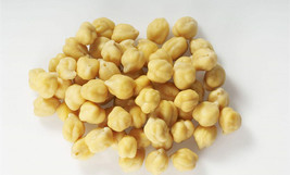 100 Garbanzo Bean Seeds To Grow Chickpeas Usa Seller - £17.48 GBP