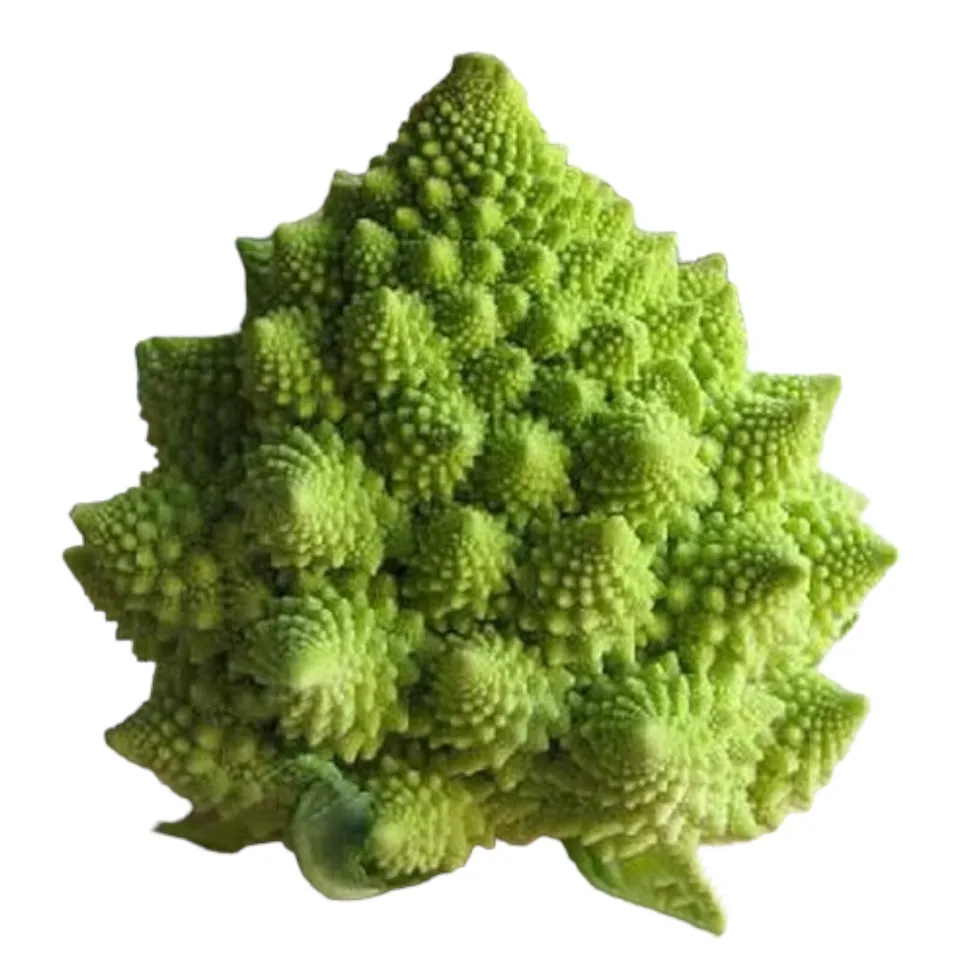 TISSS Romanesco Broccoli Seeds 150 Seeds Non GMO USA Seller - £6.52 GBP