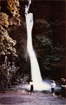 Horsetail Falls Columbia River Highway Oregon Postcard PC363 - £3.92 GBP