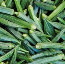 Perkins Long Okra Seeds | Heirloom | Organic FRESH - $9.36