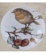 Ceramic Cabinet Knob Bird on a Apple branch Birds Sparrow #2 domestic - $4.46